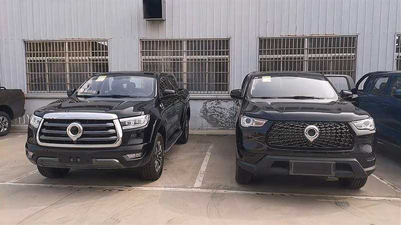 {老虎機}(2019款长城炮乘用版图片)